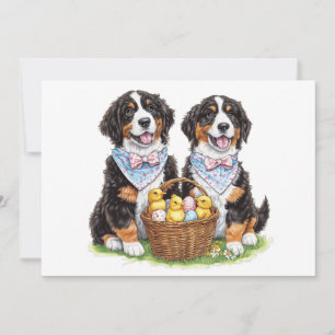 Easter Bernese Mountain Dogs Holiday Card