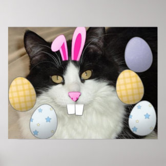 Easter Black and White Cat Poster
