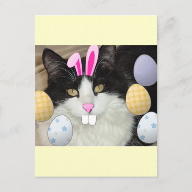 Easter Black and White Kitty Cat Holiday Postcard (Front)