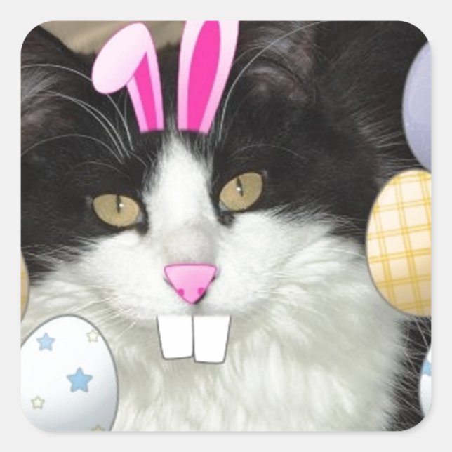 Easter Black and White Kitty Cat Square Sticker (Front)