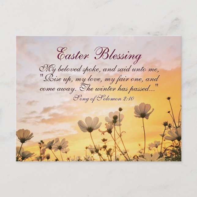 Easter Blessing Song of Songs 2:10 Bible Verse Holiday Postcard (Front)