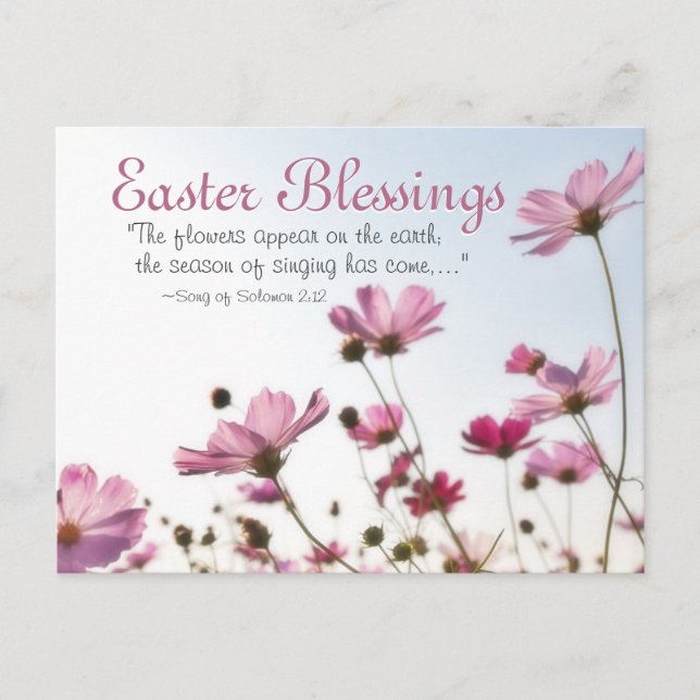 Easter Blessings Bible Verse "The flowers appear" Holiday Postcard (Front)