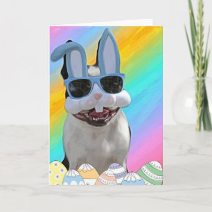 Easter Boston 1 Holiday Card