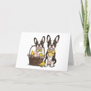 Easter Boston Terrier Dogs Holiday Card