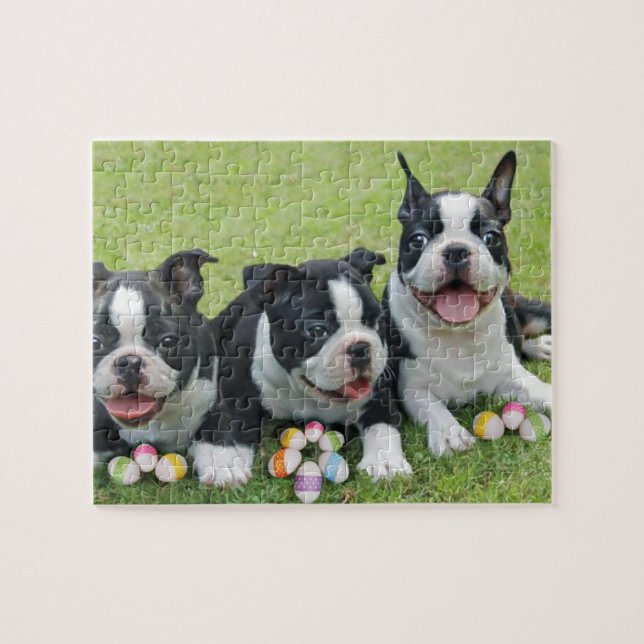Easter Boston terriers Jigsaw Puzzle (Horizontal)