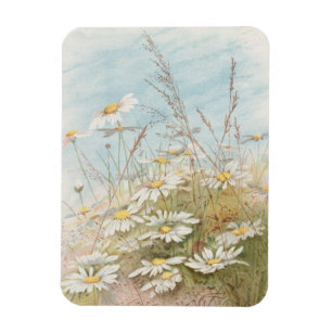 "Easter Brings the Budding Spring" Magnet