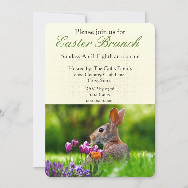 Easter Brunch with Wild Rabbit Holiday Invitation (Front)