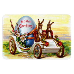 Easter Bunnies in Automobile Magnet