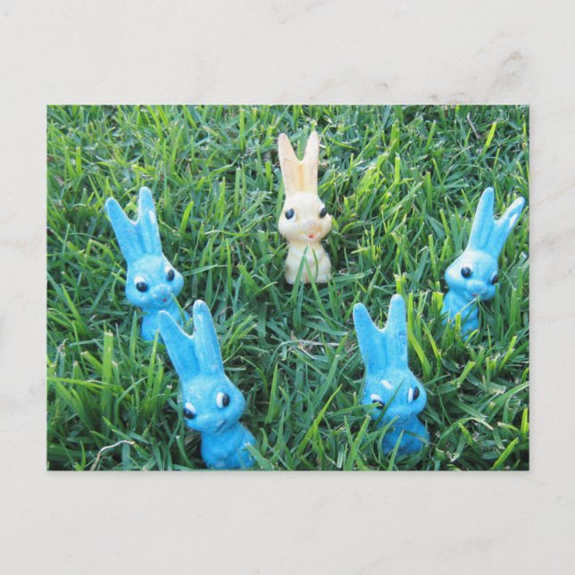 Easter bunnies postcard (Front)