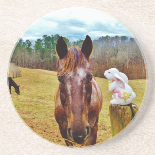 Easter Bunny and Brown horse Coaster (Front)