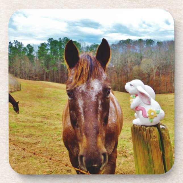 Easter Bunny and Brown horse Coaster (Front)