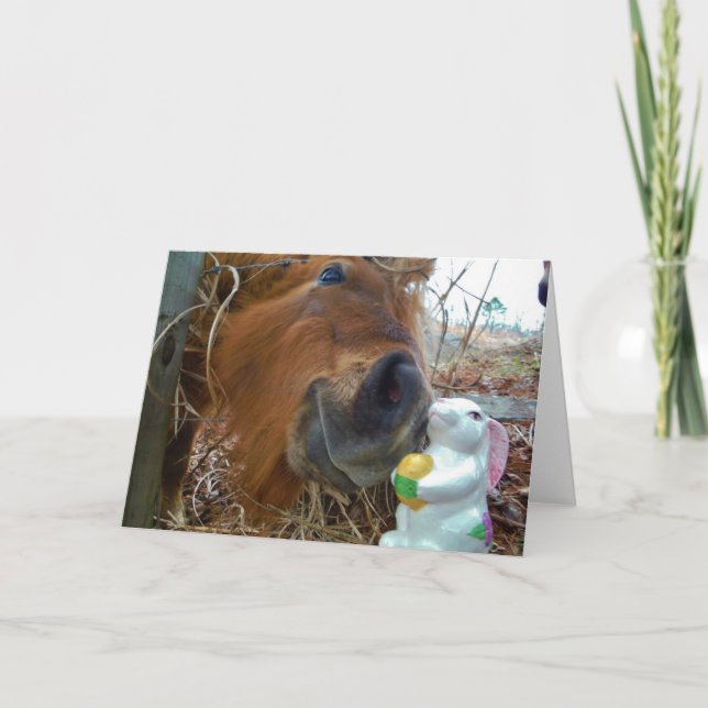 Easter Bunny and Brown horse Holiday Card (Front)