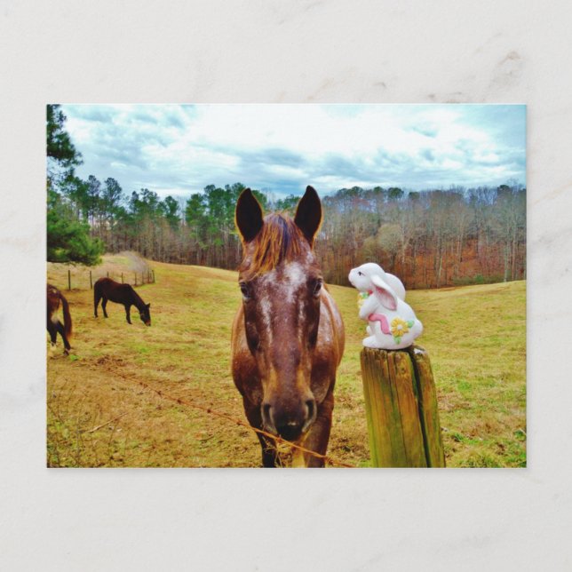 Easter Bunny and Brown horse Holiday Postcard (Front)