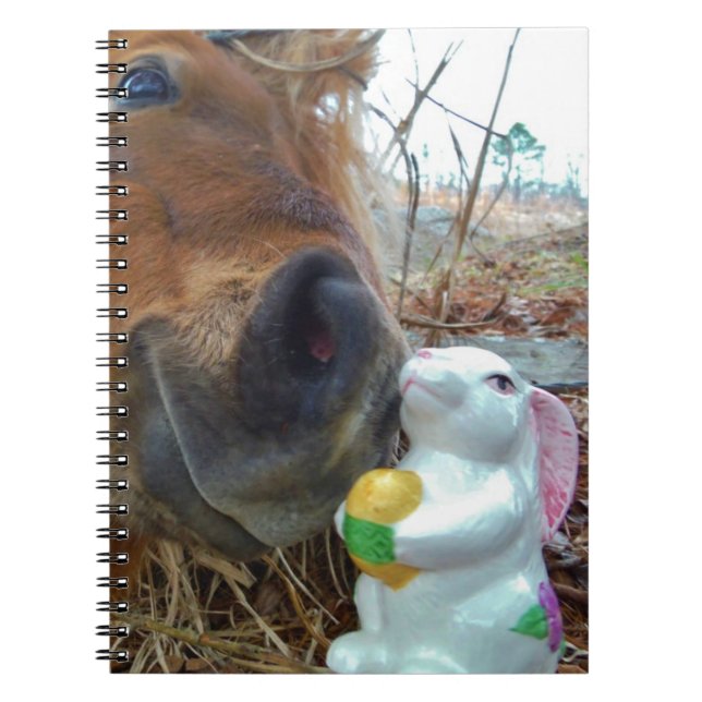 Easter Bunny and Brown horse Spiral Notebook (Front)