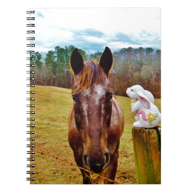 Easter Bunny and Brown horse Spiral Notebook (Front)
