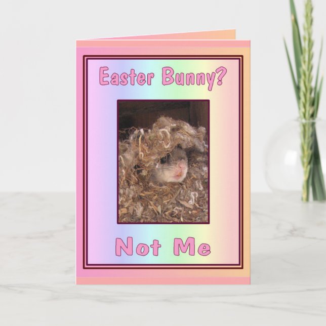 Easter Bunny? Card (Front)