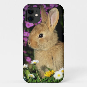 Easter Bunny iPhone 11 Case