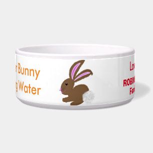 Easter Bunny Chick Egg Water Name