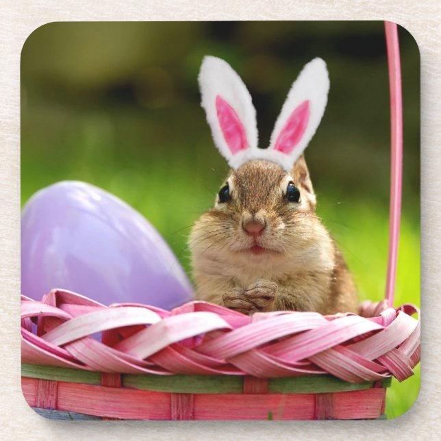 Easter Bunny Chipmunk Coaster (Front)
