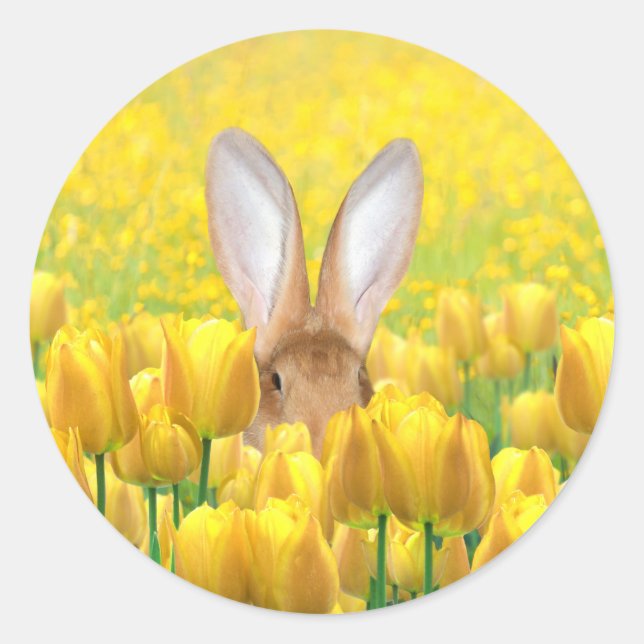 Easter Bunny Classic Round Sticker (Front)