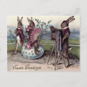 Easter Bunny Couple Camera Egg Holiday Postcard
