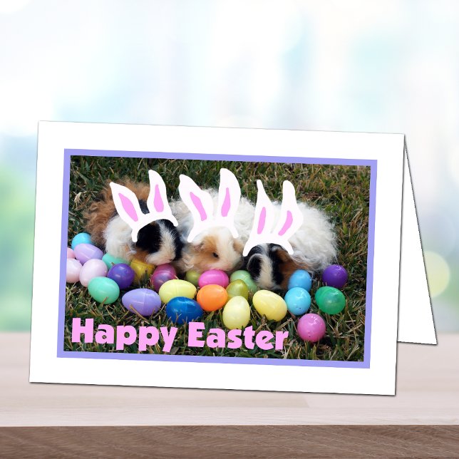 Easter Bunny Guinea Pig Card (Creator Uploaded)
