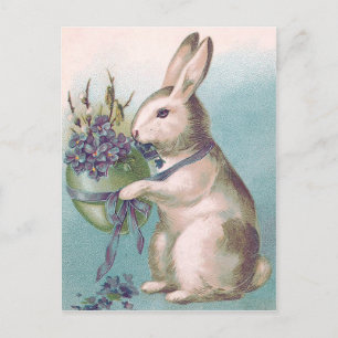 Easter Bunny Holding Coloured Egg Holiday Postcard