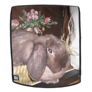 Easter bunny in a basket backpack