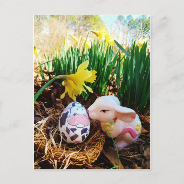 Easter Bunny kissing Cow Egg Holiday Postcard (Front)