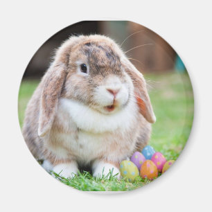 Easter Bunny Magnet