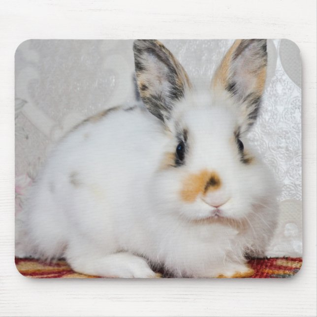 Easter Bunny Mouse Pad (Front)