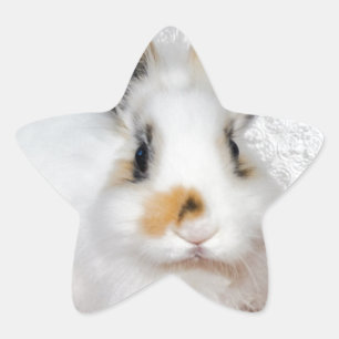 Easter Bunny Star Sticker