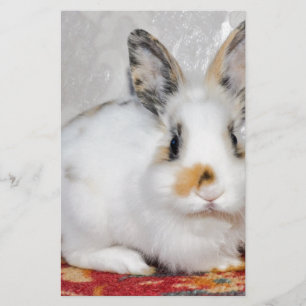 Easter Bunny Stationery
