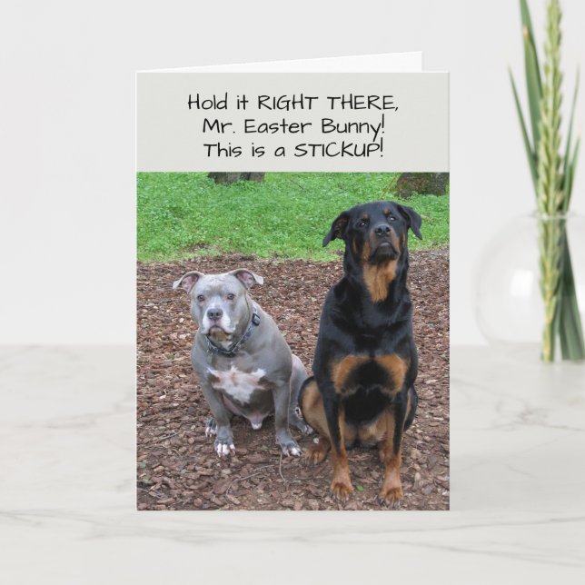 Easter Bunny Stickup Easter Card (Front)