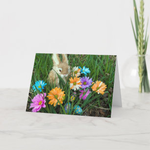 Easter Bunny with Daisies Holiday Card