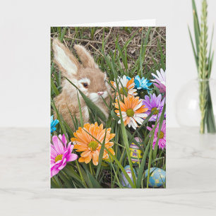 Easter Bunny with Daisies Holiday Card