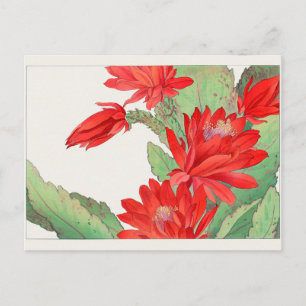 Easter cactus by Tanigami Konan Postcard