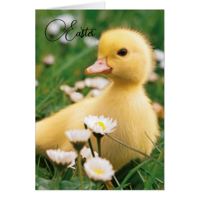 Easter Card - Cute Duckling (Front)