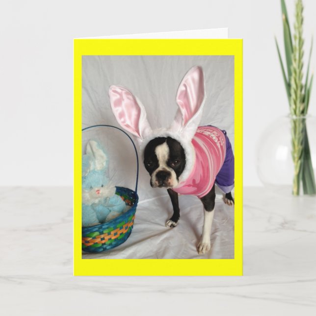 Easter Card with Boston Terrier Bunny (Front)