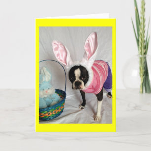 Easter Card with Boston Terrier Bunny
