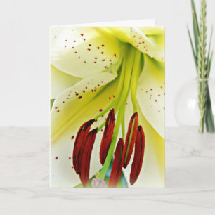 Easter card with lily