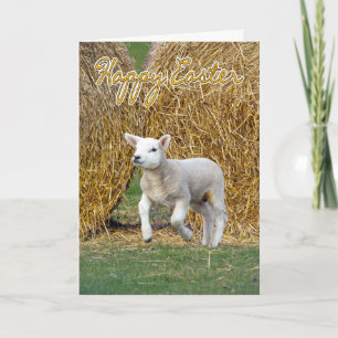 Easter Card With Spring Lamb