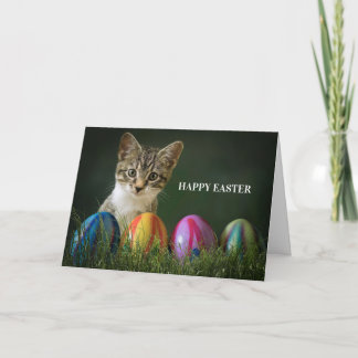 Easter cat holiday card