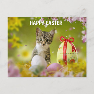 Easter cat holiday postcard