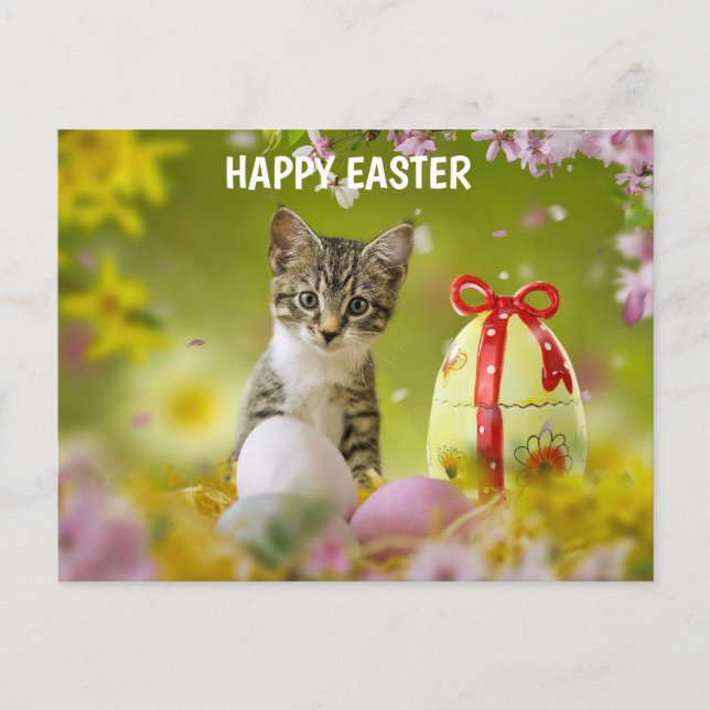 Easter cat holiday postcard (Front)