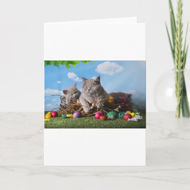 Easter Cats Holiday Card (Front)