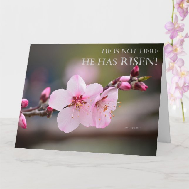 Easter Cherry Blossom He Has Risen Matthew 28:6 Card (Orchid)