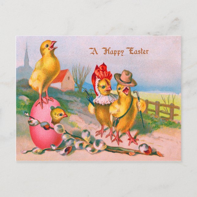Easter Chick Coloured Egg Cotton Holiday Postcard (Front)