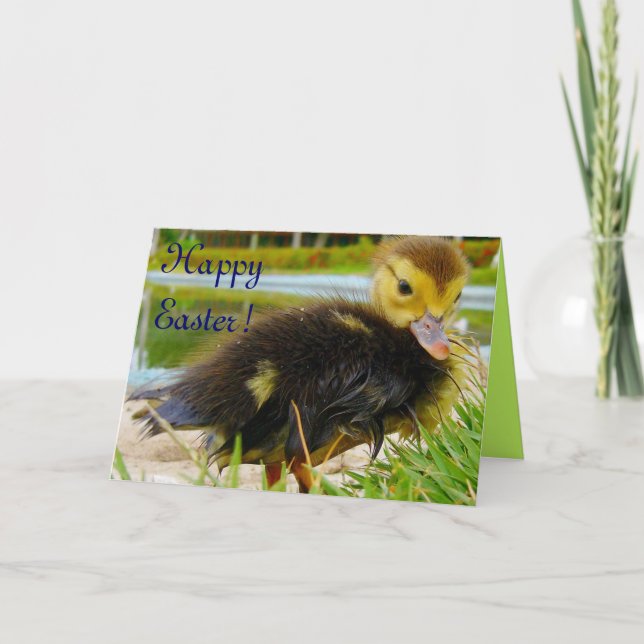Easter Chick II Holiday Card (Front)