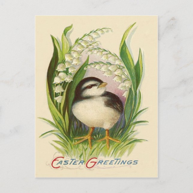 Easter Chick Lily Of The Valley Holiday Postcard (Front)